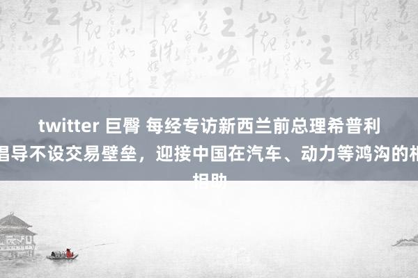 twitter 巨臀 每经专访新西兰前总理希普利：倡导不设交易壁垒，迎接中国在汽车、动力等鸿沟的相助