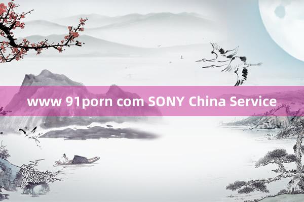 www 91porn com SONY China Service