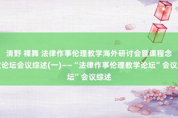 清野 裸舞 法律作事伦理教学海外研讨会暨课程念念政论坛会议综述(一)——“法律作事伦理教学论坛”会议综述