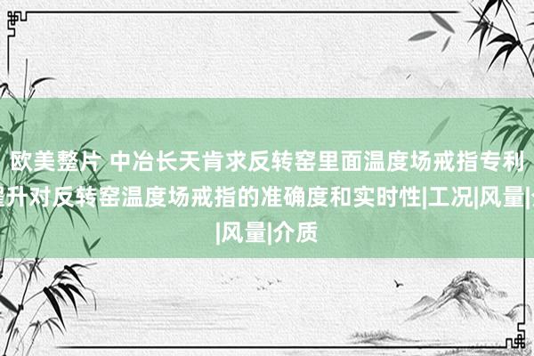 欧美整片 中冶长天肯求反转窑里面温度场戒指专利，擢升对反转窑温度场戒指的准确度和实时性|工况|风量|介质